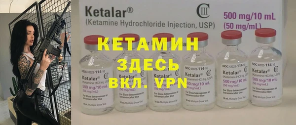 хмурый Пересвет