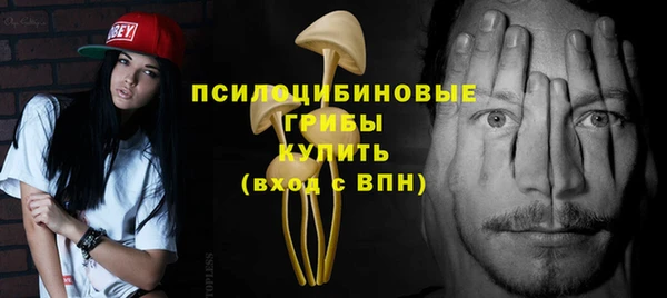 сатива Алексеевка