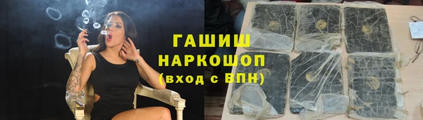 хмурый Пересвет