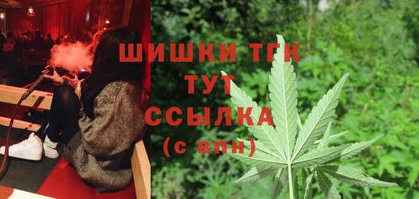 сатива Алексеевка