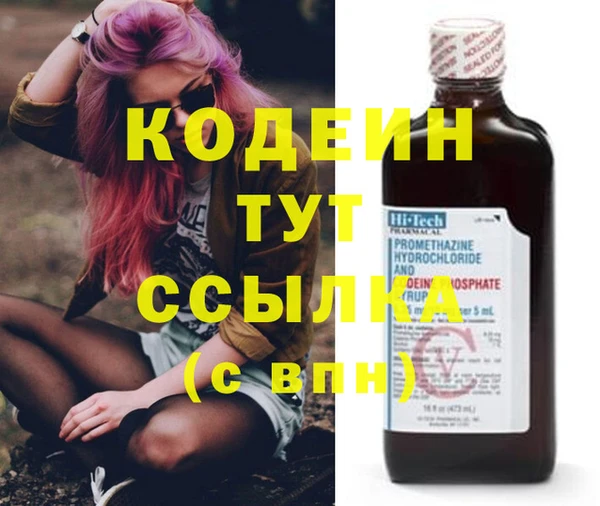 хмурый Пересвет
