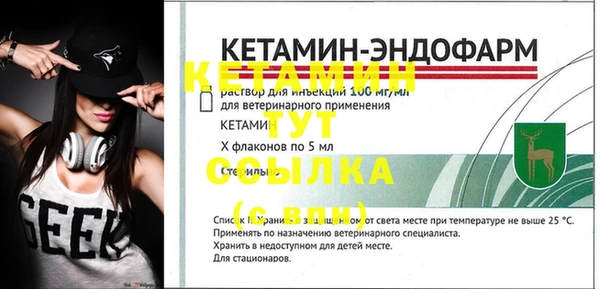 хмурый Пересвет